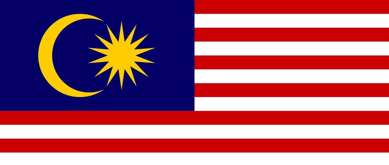 带你看看马来西亚的钞票,大红大紫的还挺好看