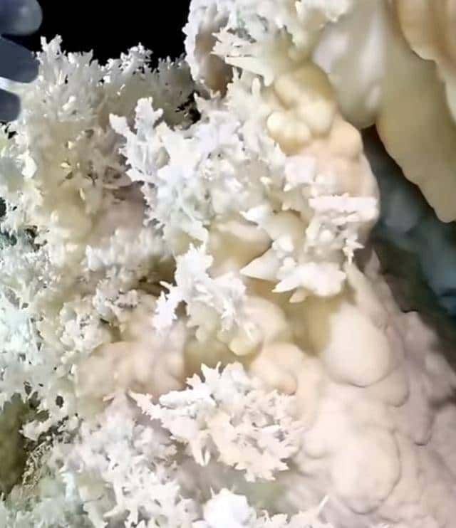 十四亿人不知道的人间仙境,石头“开花”,有谁见过?