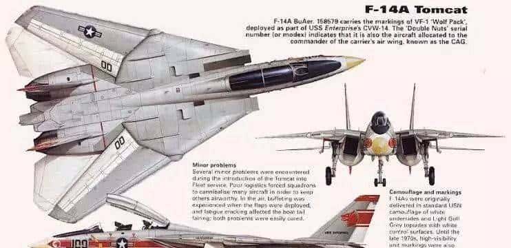 终于扒到你，F-14“雄猫”！扒一扒美国喷气式战斗机家族谱