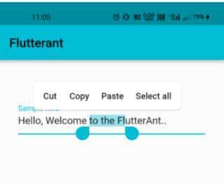 怎样编写代码实现富文本前端界面（Text)的复制/粘贴/剪切功能