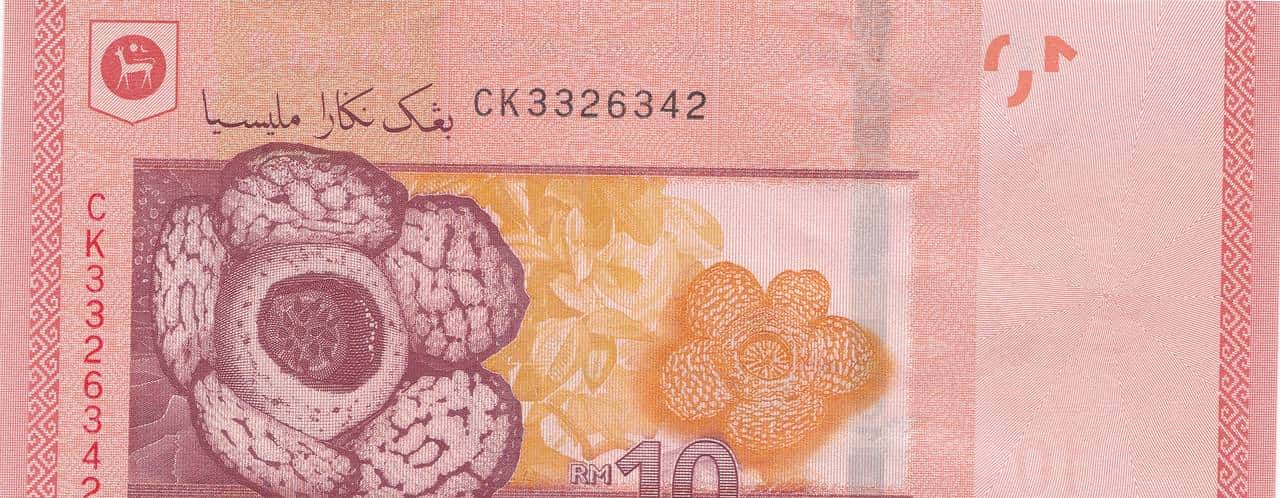 带你看看马来西亚的钞票,大红大紫的还挺好看