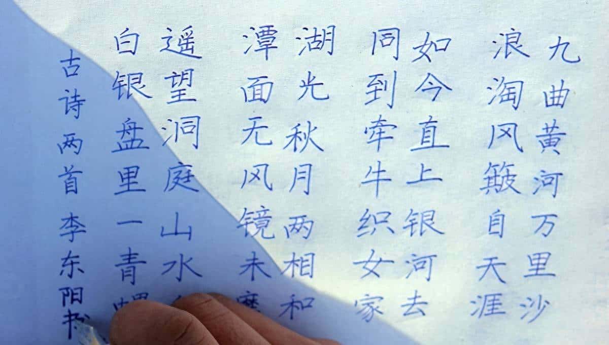 语文二年级上册课内阅读练习，