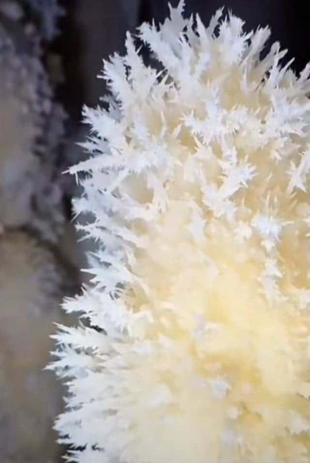 十四亿人不知道的人间仙境,石头“开花”,有谁见过?