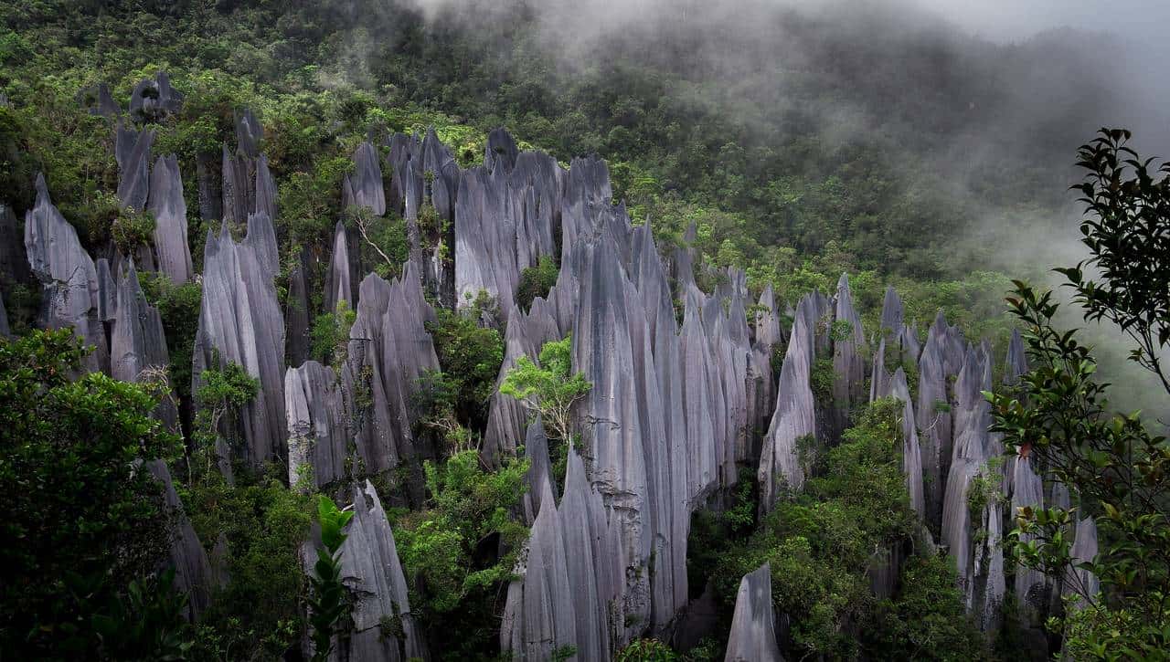 带你看看马来西亚的钞票,大红大紫的还挺好看
