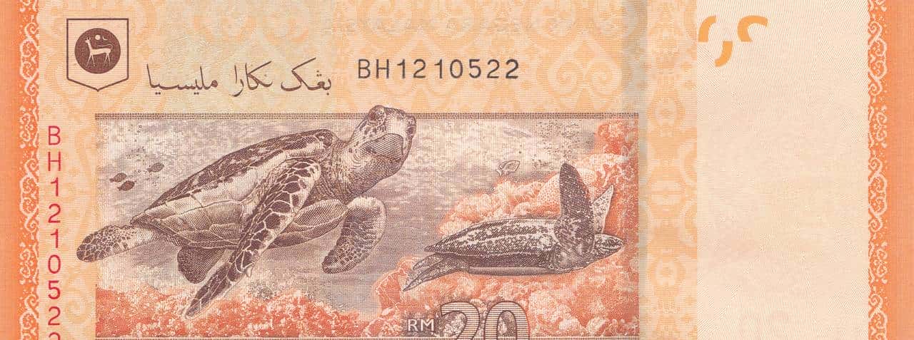 带你看看马来西亚的钞票,大红大紫的还挺好看