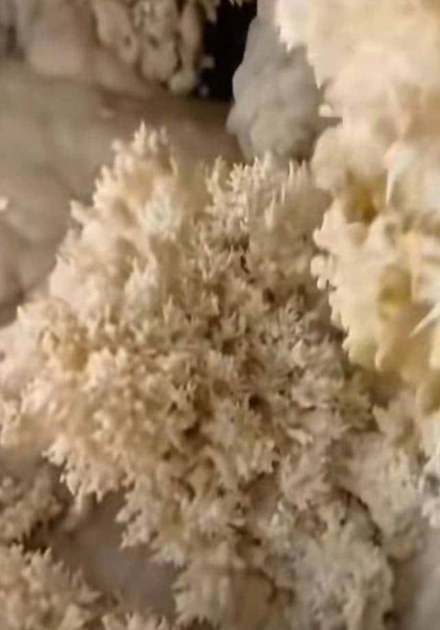 十四亿人不知道的人间仙境,石头“开花”,有谁见过?