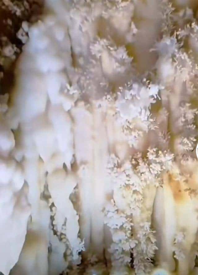 十四亿人不知道的人间仙境,石头“开花”,有谁见过?