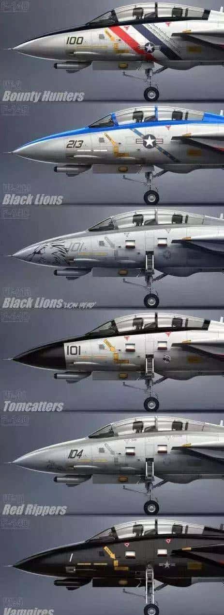 终于扒到你，F-14“雄猫”！扒一扒美国喷气式战斗机家族谱
