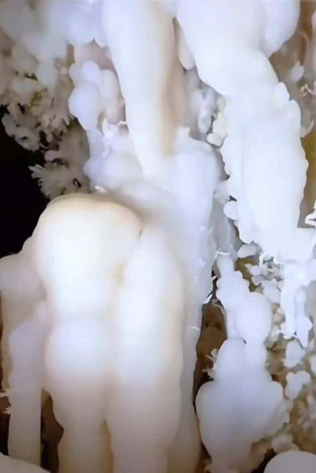 十四亿人不知道的人间仙境,石头“开花”,有谁见过?