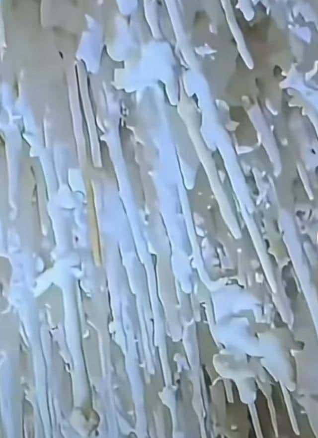 十四亿人不知道的人间仙境,石头“开花”,有谁见过?