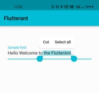 怎样编写代码实现富文本前端界面（Text)的复制/粘贴/剪切功能