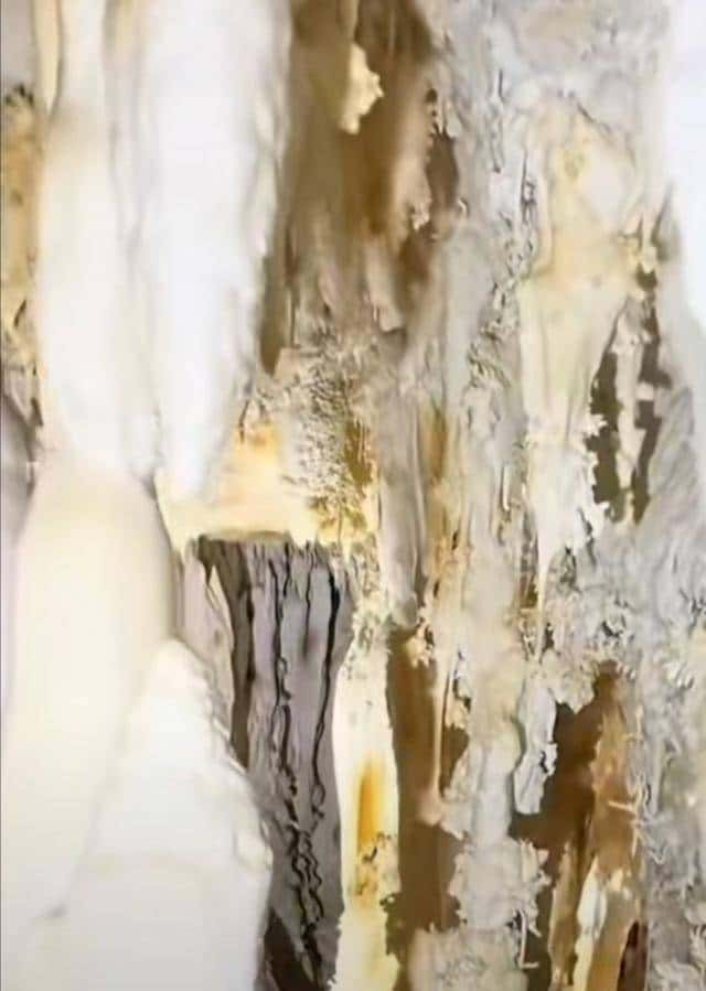 十四亿人不知道的人间仙境,石头“开花”,有谁见过?