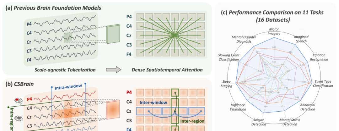通用脑机接口时代来了?跨尺度脑基础模型CSBrain真正读懂脑信号