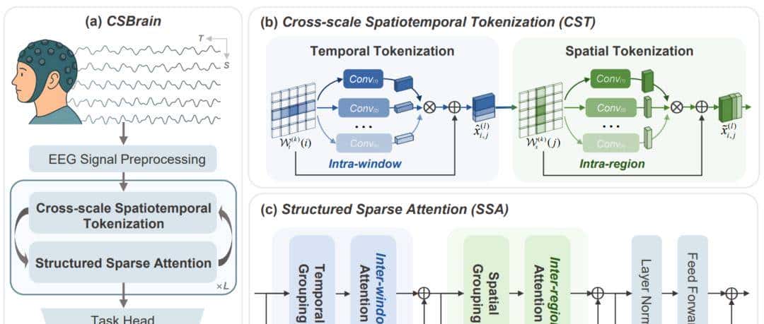 通用脑机接口时代来了?跨尺度脑基础模型CSBrain真正读懂脑信号