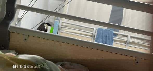 今年最震撼人心的「旮旯给木高手」,为什么是「沙湖神」?