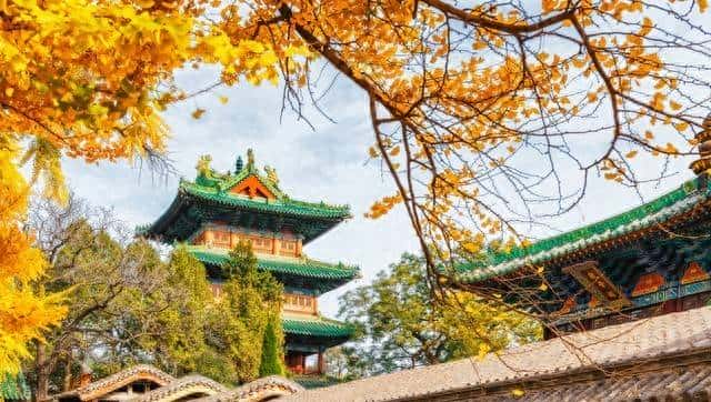 别再死记硬背了！与“Make”相关的11个热门考点一次讲透