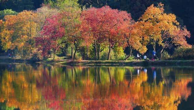 一网打尽“Make”的9种高频搭配：附例句、真题与易错详解