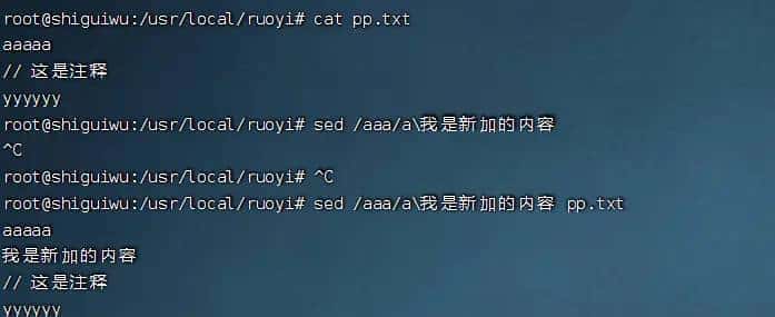 Linux 文本处理三剑客：grep、sed 和 awk