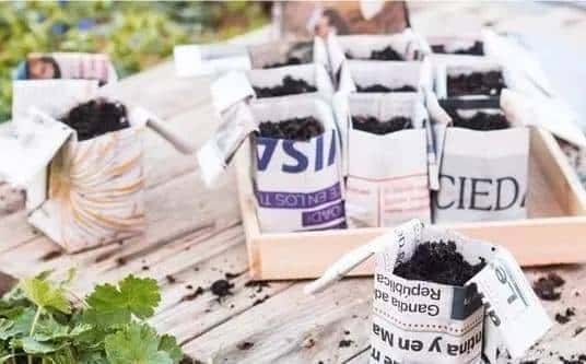 有关播种你所要知道的一切