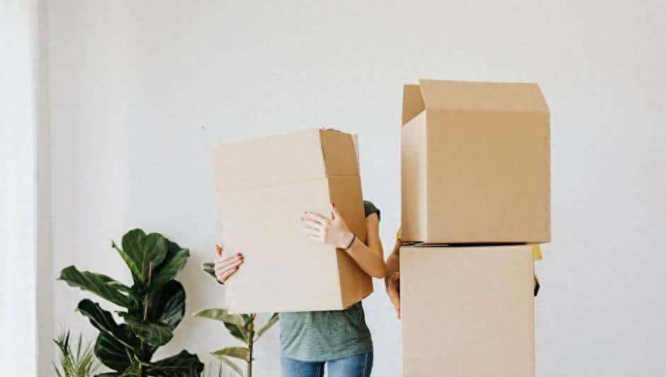 纸箱也“藏毒”？别让甲醛悄悄入侵你的家！