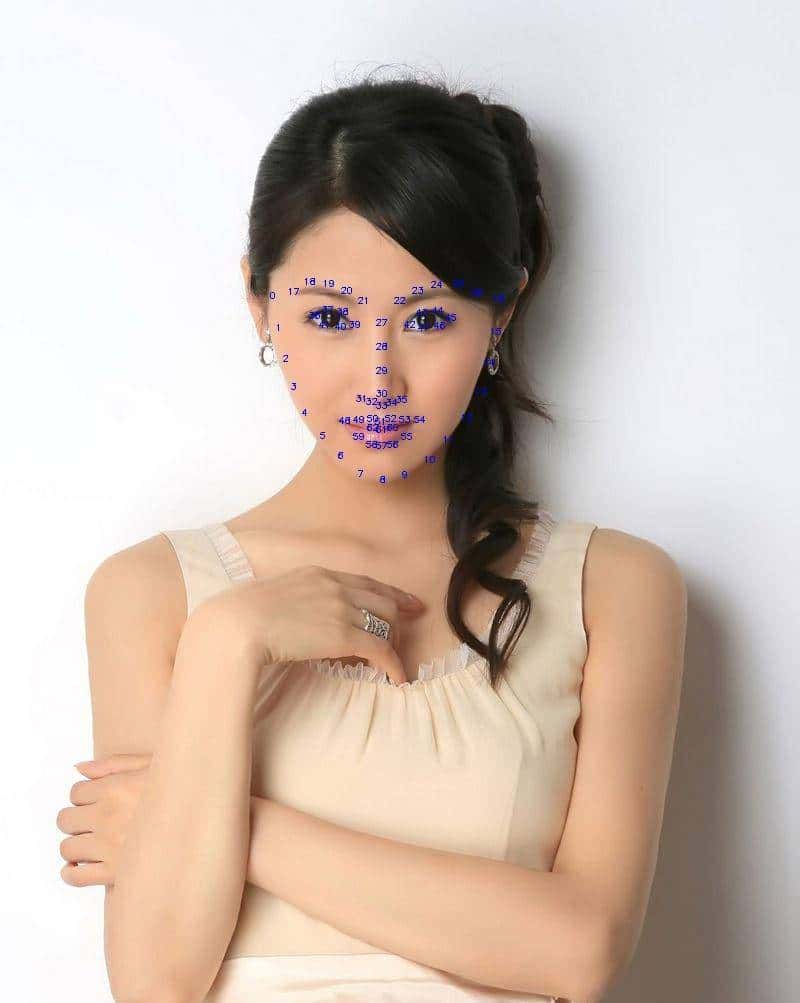 盘点18个优秀图像识别开源项目