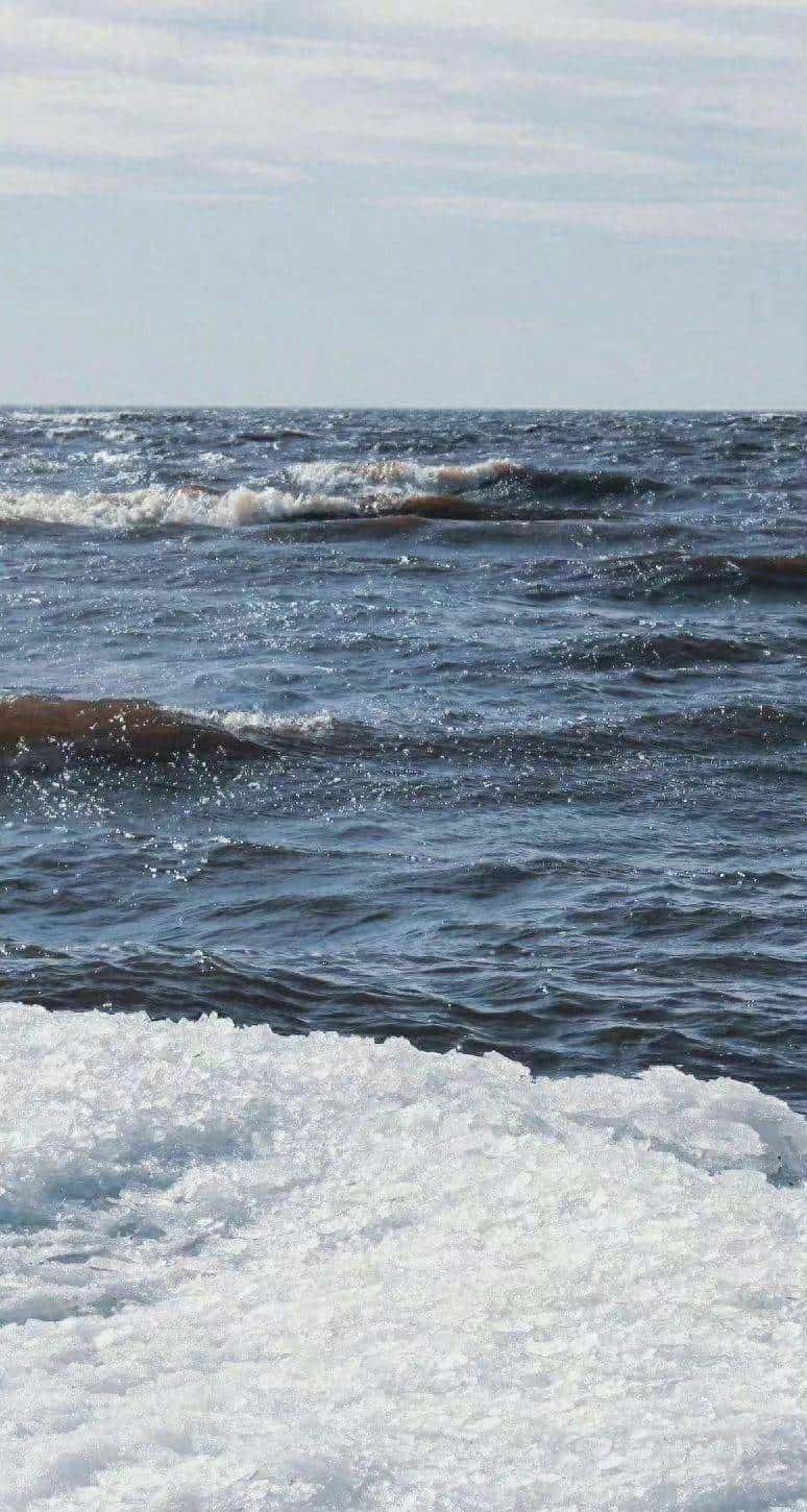 再睁眼,回到继母被流寇掳走那日。我捂住弟弟的眼睛,往角落塞了塞