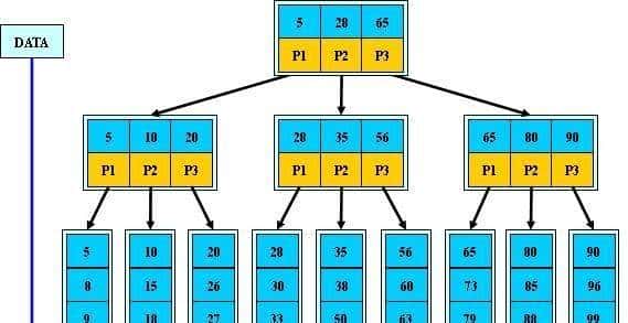 最新字节跳动社招精选面试题及参考答案