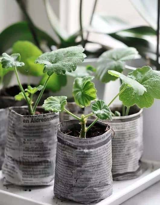 有关播种你所要知道的一切