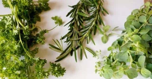 有关播种你所要知道的一切