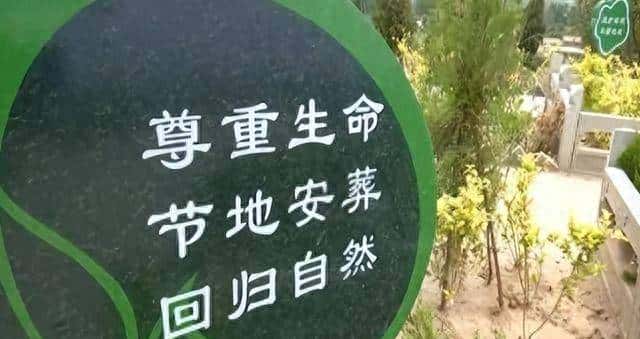 原来土葬比火葬更可怕，人死后埋入地下一个月，尸体会发生什么？