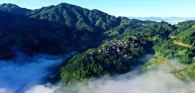 校园霸凌预防管理：鲜血书写的警示与不容推卸的责任