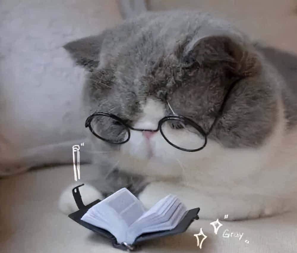 干货 | 哈佛大学Health Data Science项目介绍