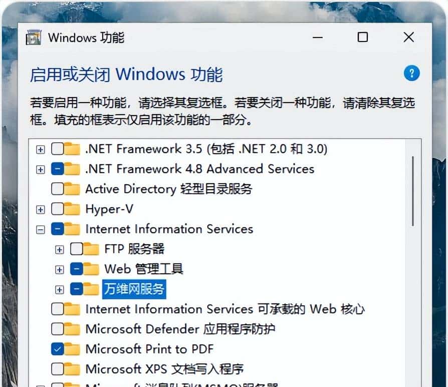 如何在 Windows 11 上启用 IIS（Internet Information Services）