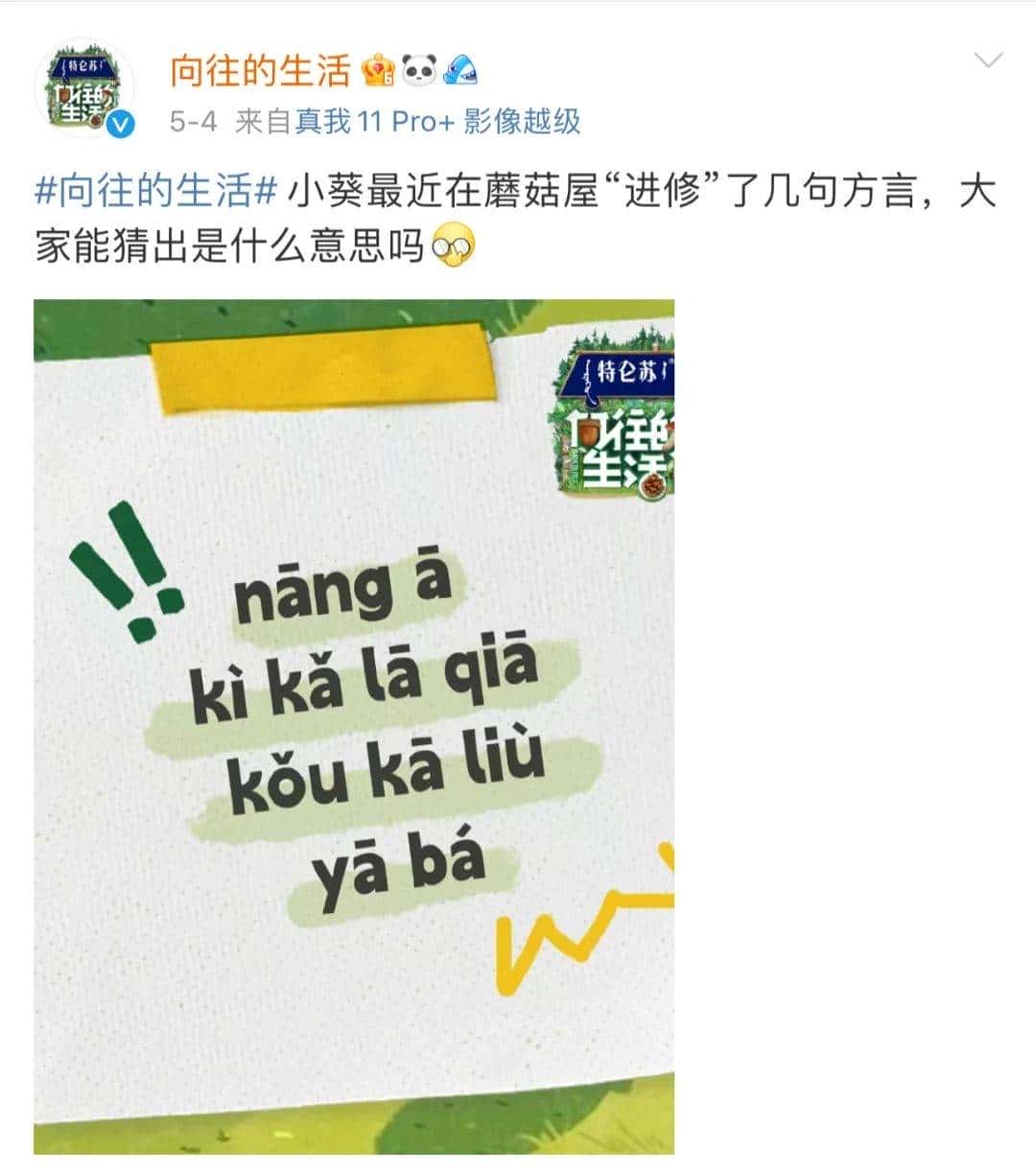 比“挖呀挖呀挖”还魔性！宋丹丹何炅黄磊沙溢直呼上头