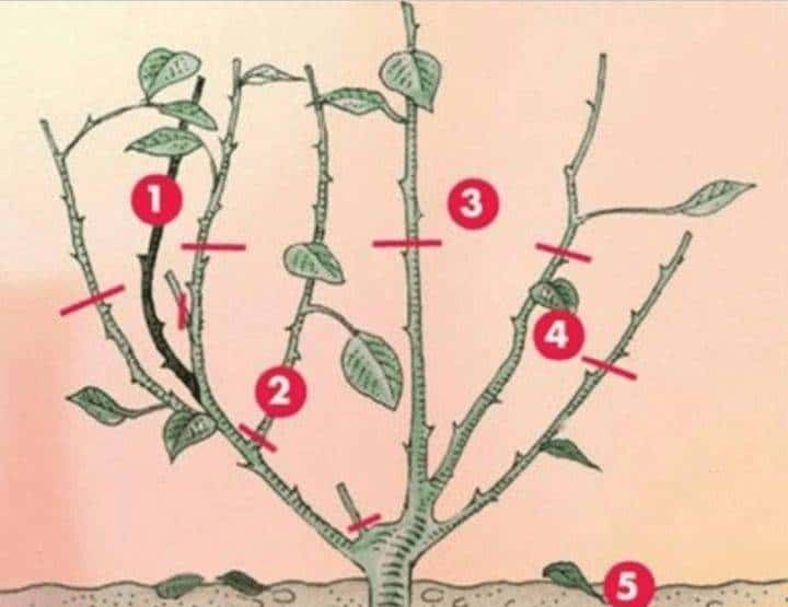 java应用提速(速度与激情)