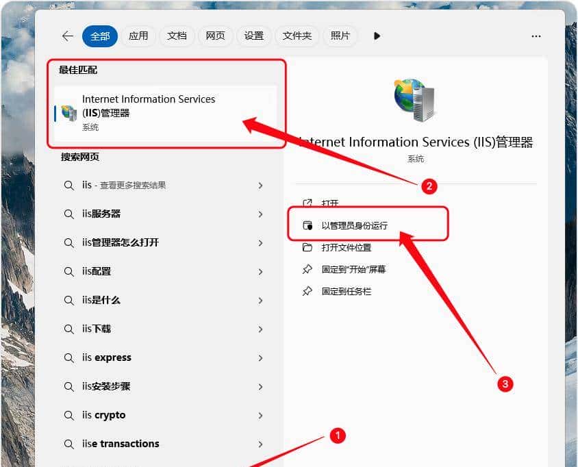 如何在 Windows 11 上启用 IIS（Internet Information Services）