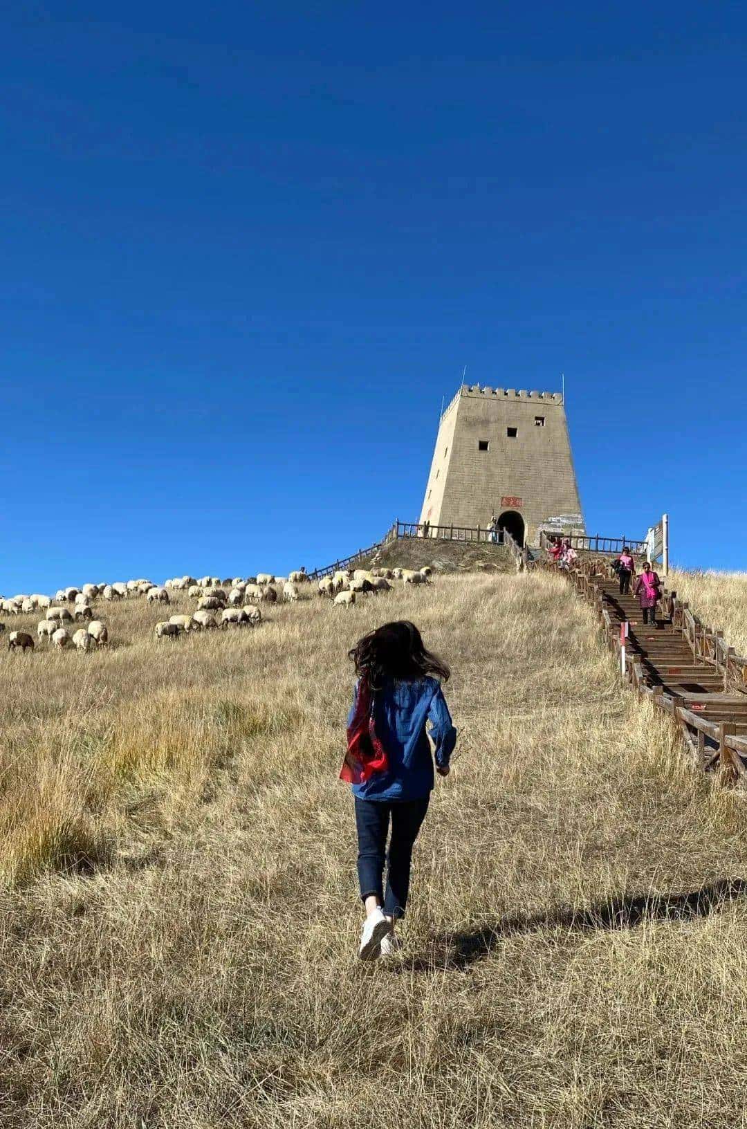 用800块过上理想生活、花50w“重启人生”，她们说这是今年花得最值的一笔钱！