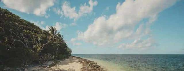 未经批准！珠海男子带锄头登无人岛，被抓后现场查获“牛大力”