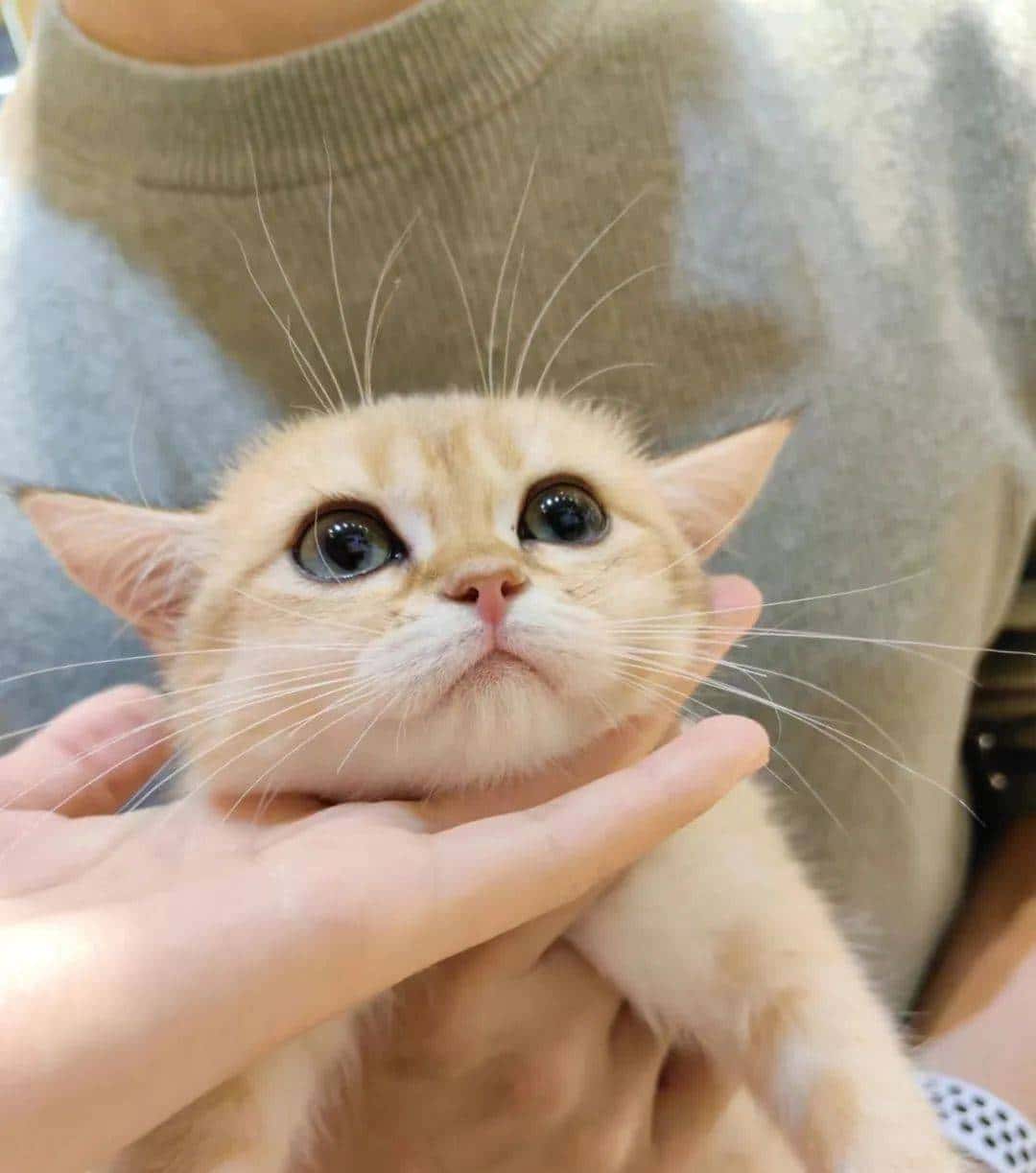 用800块过上理想生活、花50w“重启人生”，她们说这是今年花得最值的一笔钱！