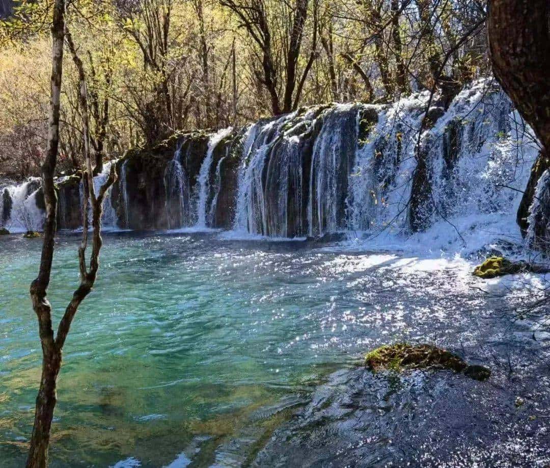 用800块过上理想生活、花50w“重启人生”，她们说这是今年花得最值的一笔钱！