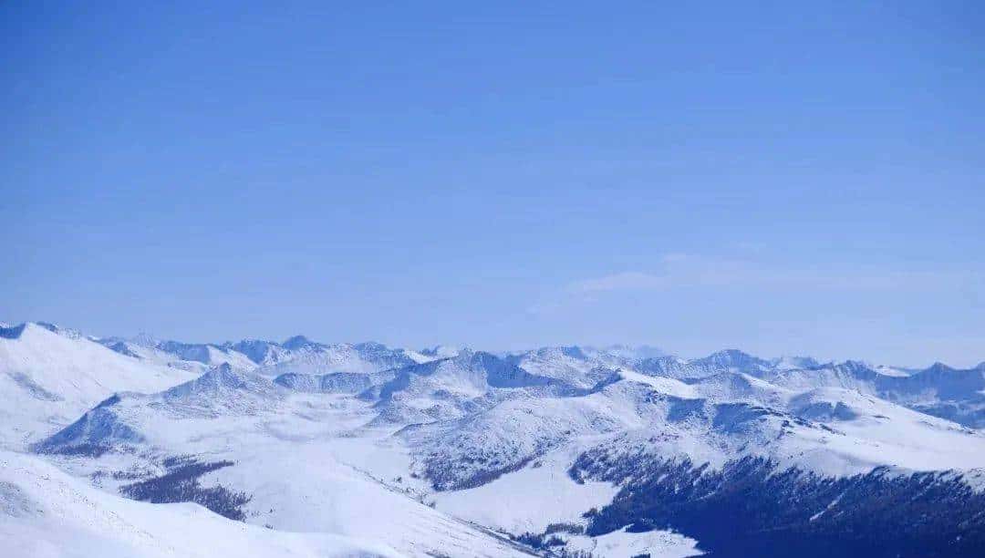 用800块过上理想生活、花50w“重启人生”，她们说这是今年花得最值的一笔钱！