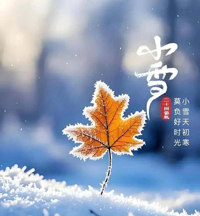 人间小雪，执笔问安，不问雪落几时，只问花开几许。