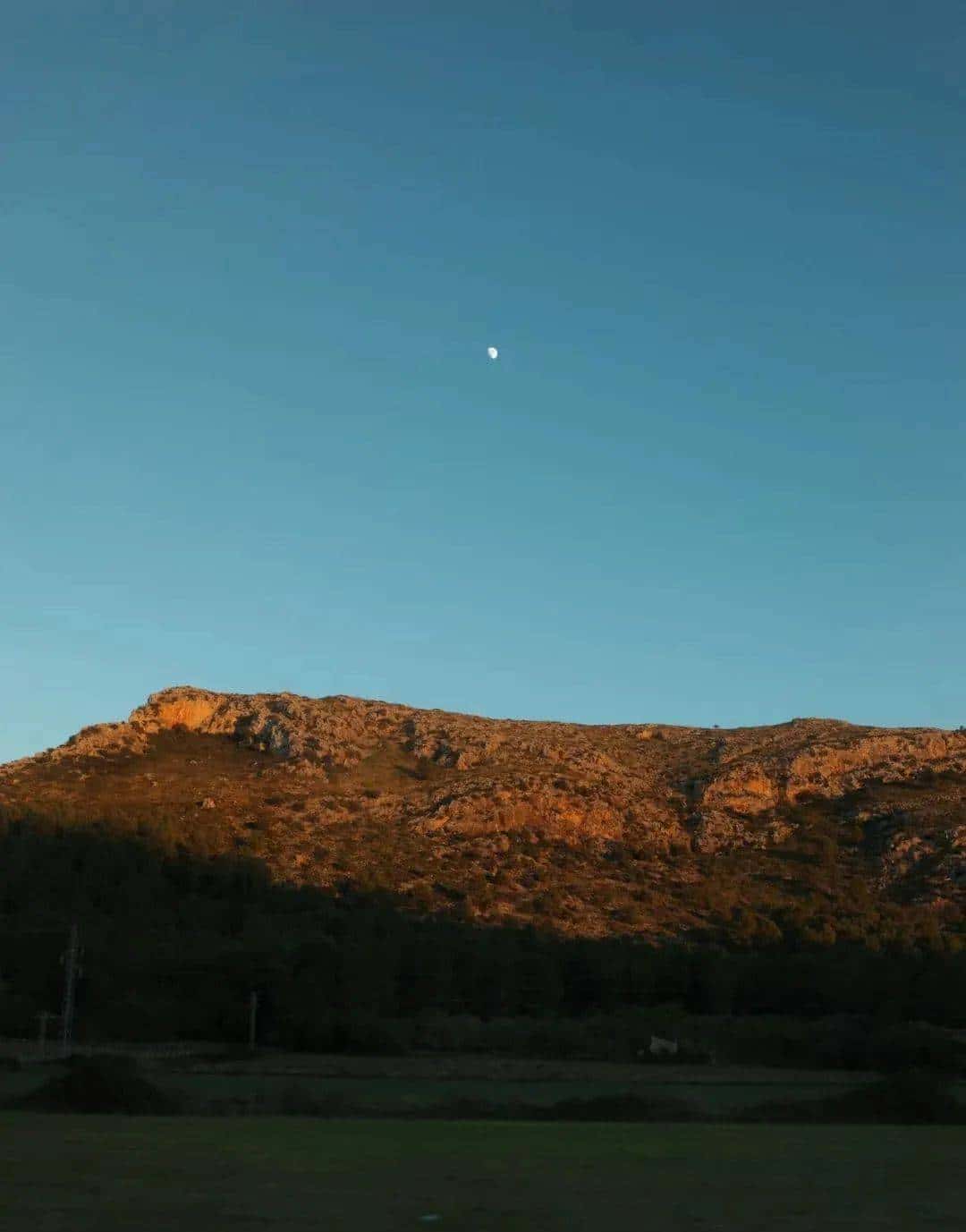 用800块过上理想生活、花50w“重启人生”，她们说这是今年花得最值的一笔钱！
