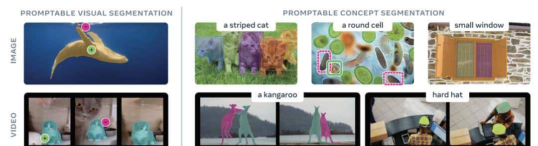 一文带你看懂「分割一切」SAM 系列模型的前世今生