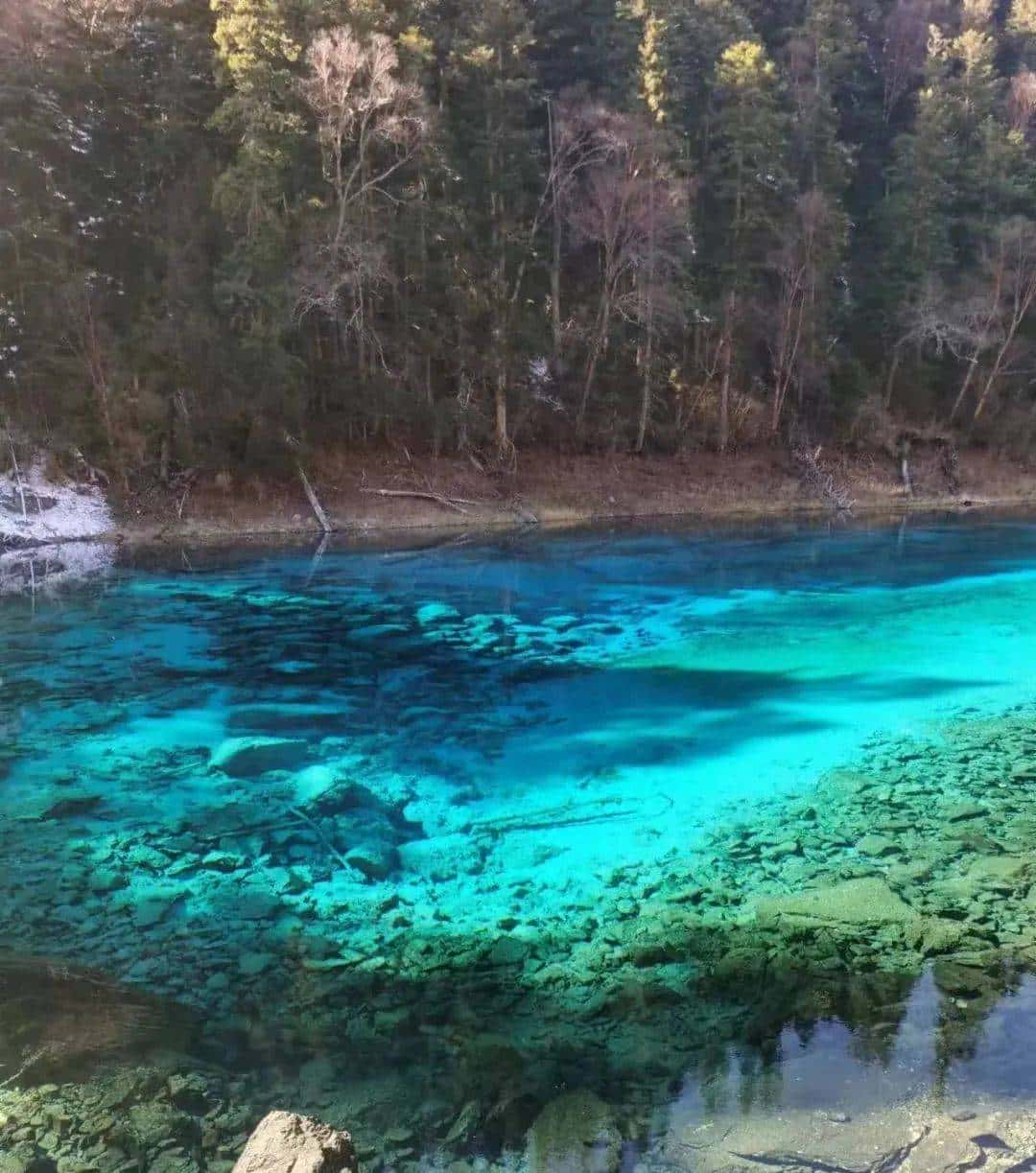 用800块过上理想生活、花50w“重启人生”，她们说这是今年花得最值的一笔钱！