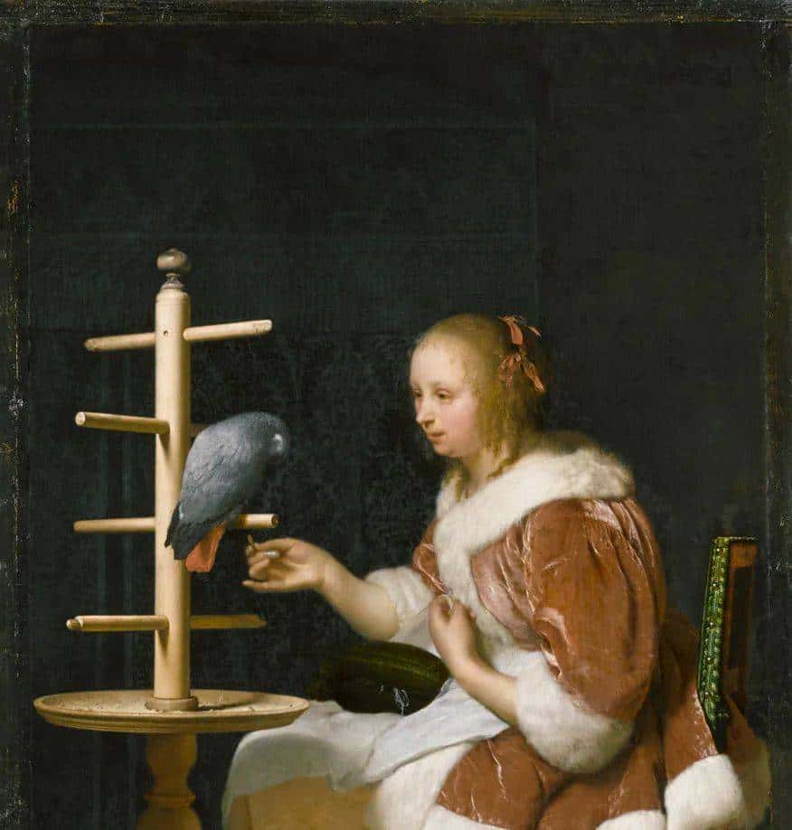 17世纪荷兰人的生活有什么好看的？