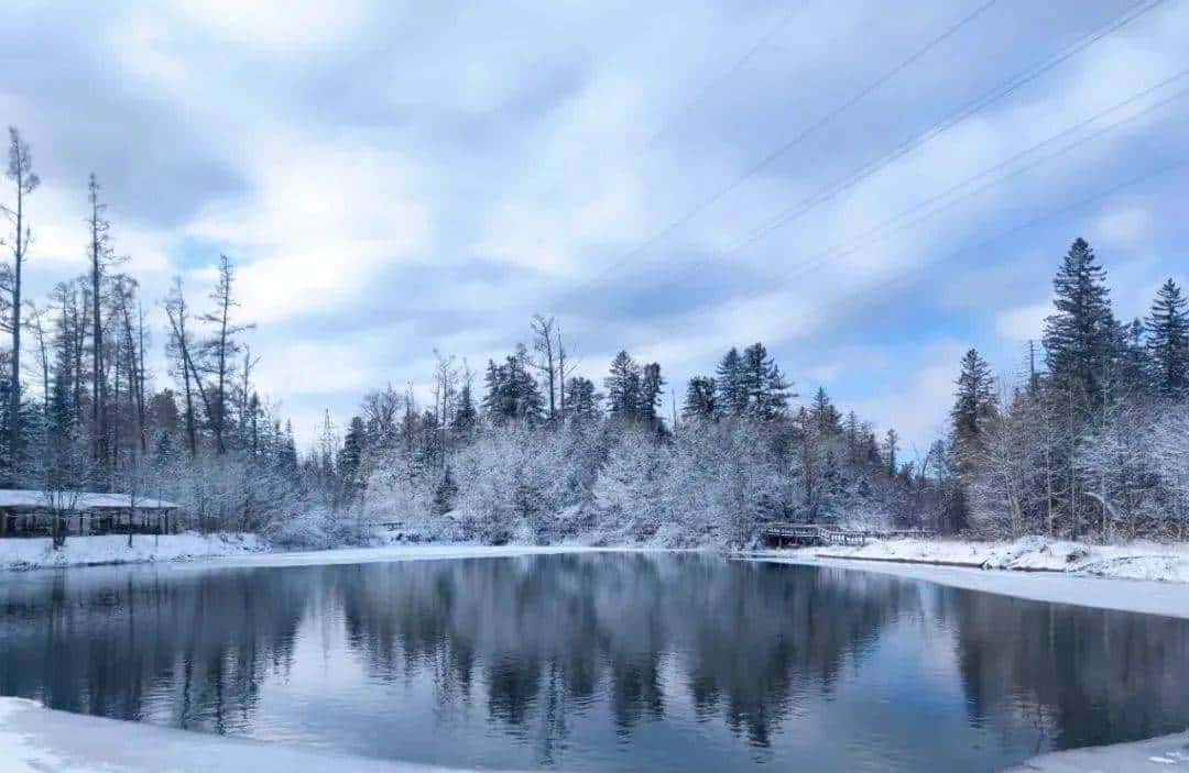 用800块过上理想生活、花50w“重启人生”，她们说这是今年花得最值的一笔钱！