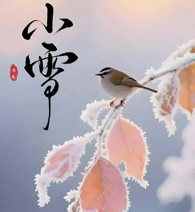 人间小雪，执笔问安，不问雪落几时，只问花开几许。