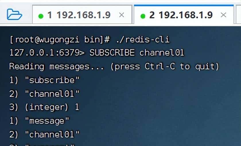 一文彻底读懂 Redis
