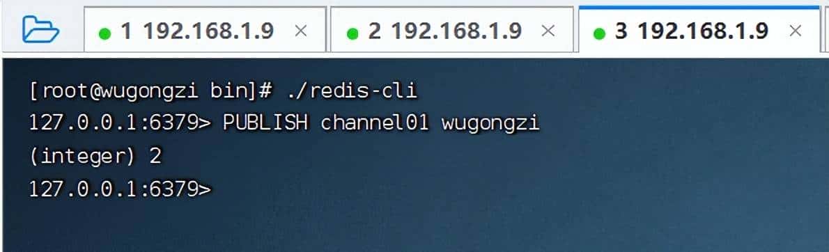 一文彻底读懂 Redis